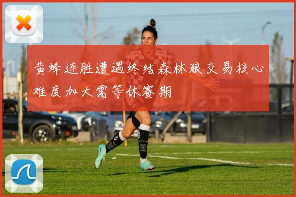 黄蜂连胜遭遇终结森林狼交易核心难度加大需等休赛期