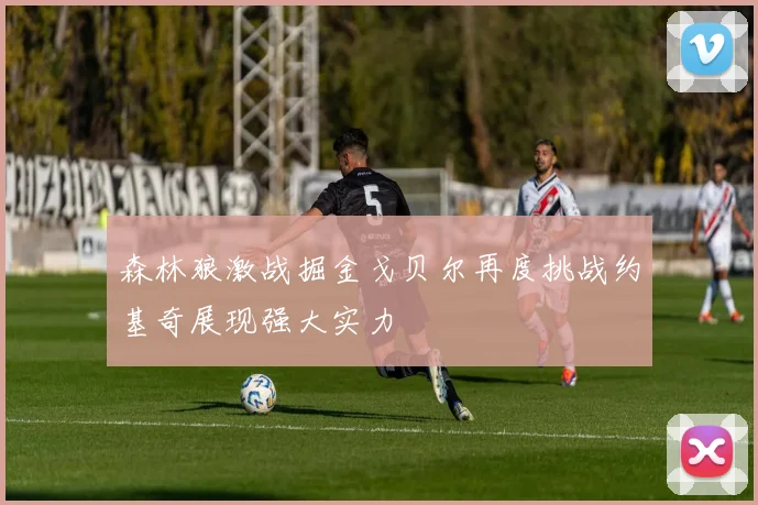森林狼激战掘金戈贝尔再度挑战约基奇展现强大实力